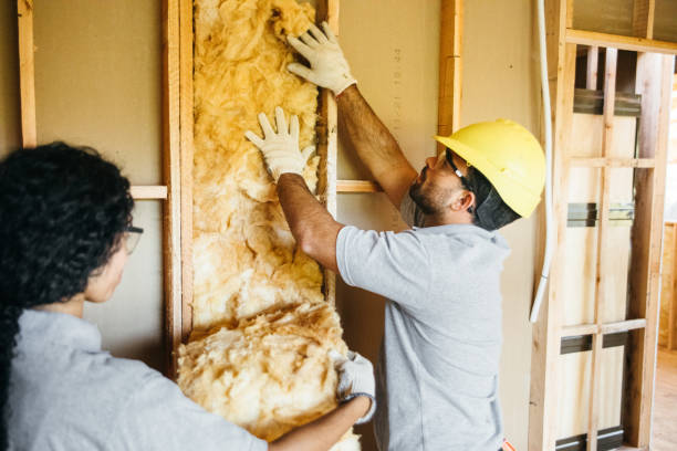 Types of Insulation We Offer in Modesto, CA